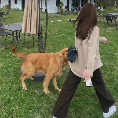 闪谷第二季